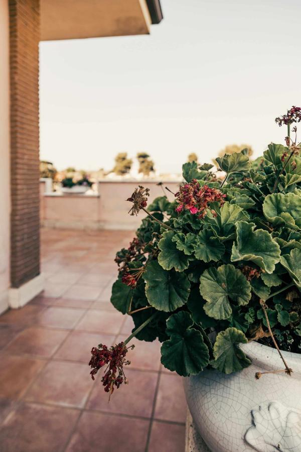 Bed And Breakfast Villa Romano Anzio Exteriér fotografie